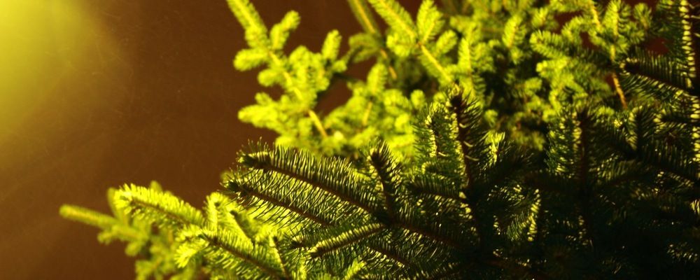 Cover image for Speed up with Browserslist